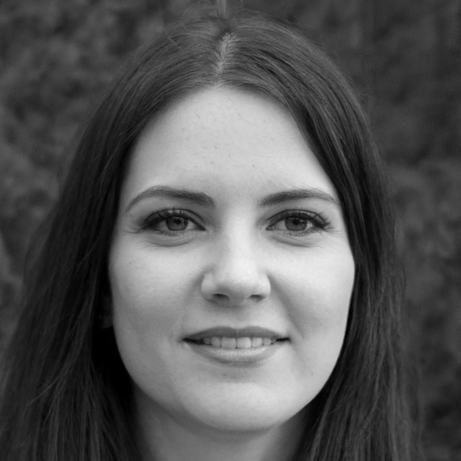 Портрет ведущего специалиста по семейной терапии